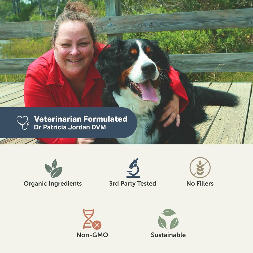 
                  
                    Digest - Digestive Enzymes And Probiotics For Dogs
                  
                