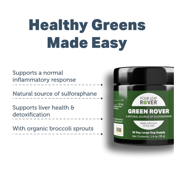 
                  
                    Green Rover - Green Ferment For Dogs
                  
                