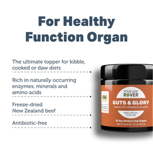 
                  
                    Guts & Glory - Grass-fed Organs For Dogs
                  
                