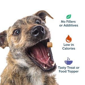 
                  
                    Lamb Liver Treats
                  
                