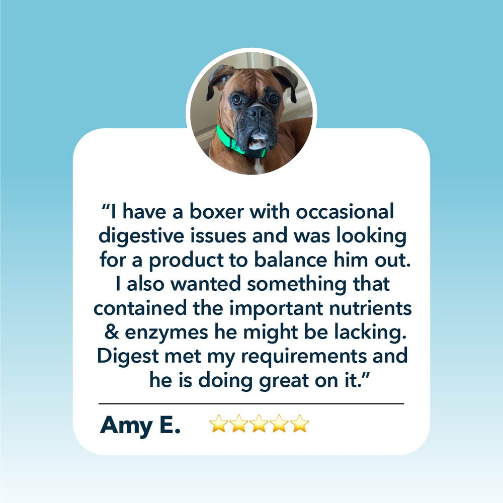 
                  
                    Digest - Digestive Enzymes And Probiotics For Dogs
                  
                